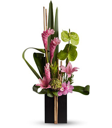 Now & Zen from Metropolitan Plant & Flower Exchange, local NJ florist
